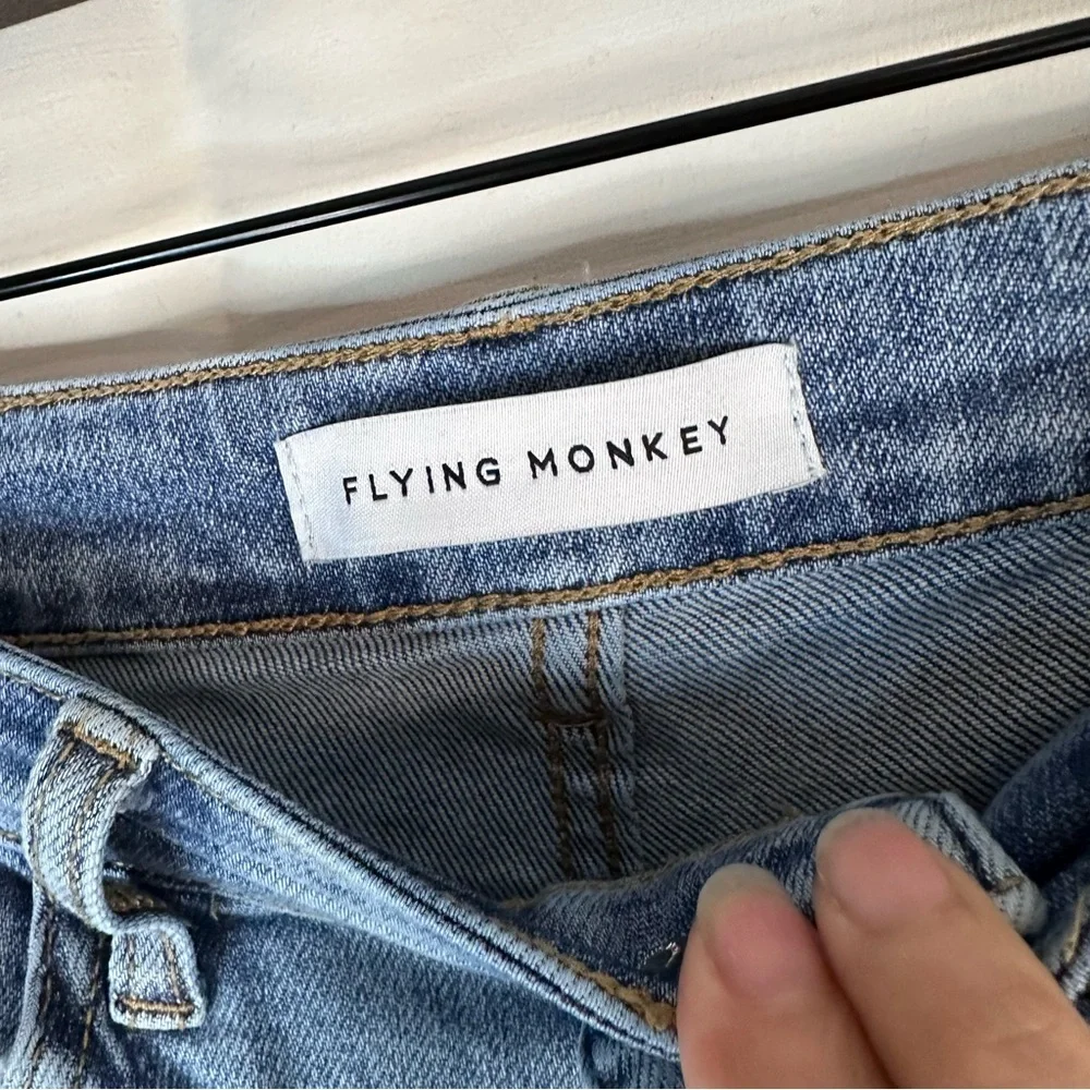 Flying Monkey flying monkey